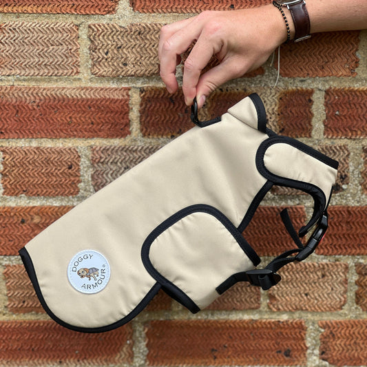 Champagne Dog Armour