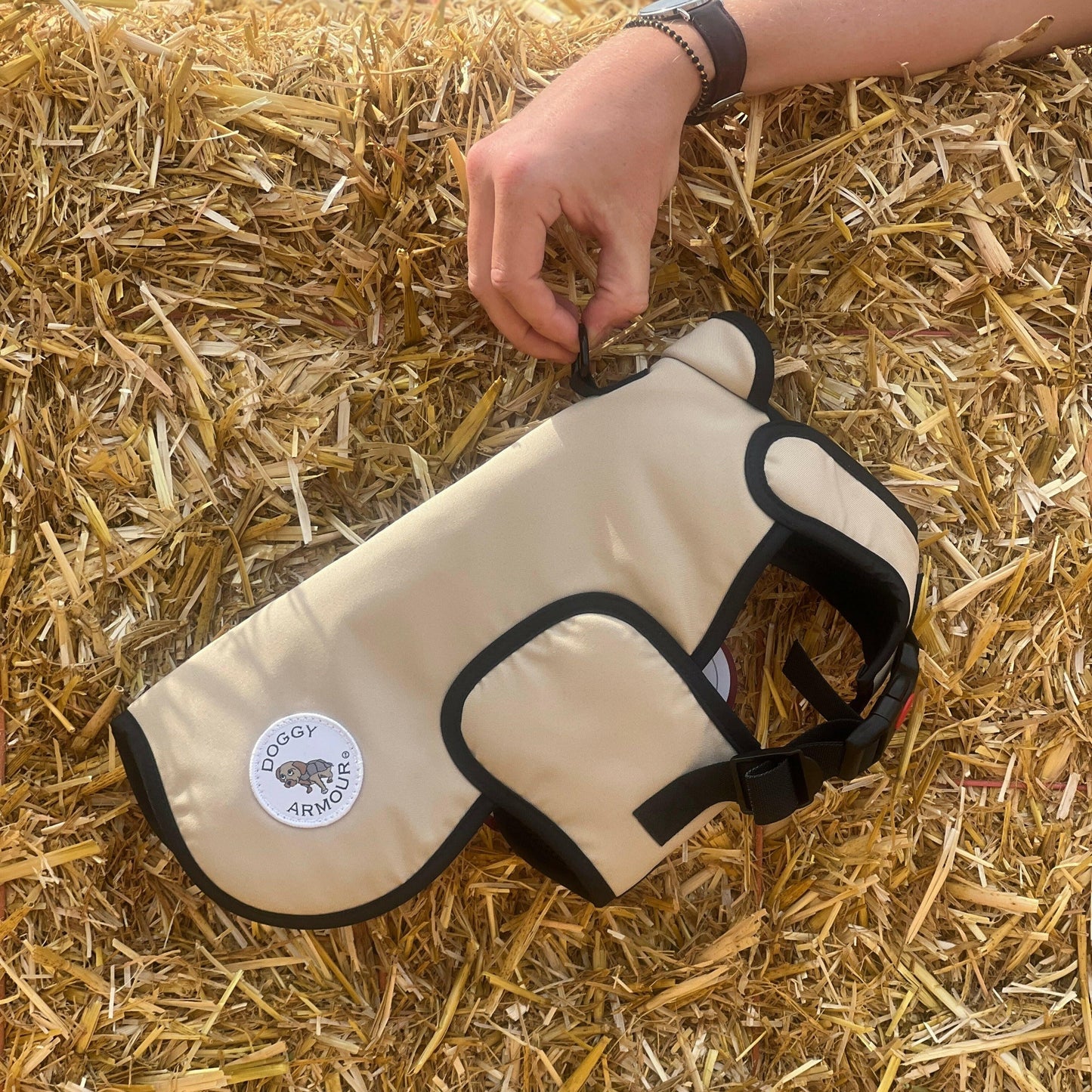 Champagne Dog Armour